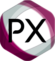 PX Icon